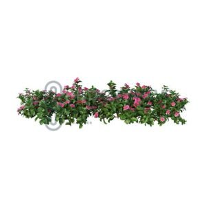Mini Garden